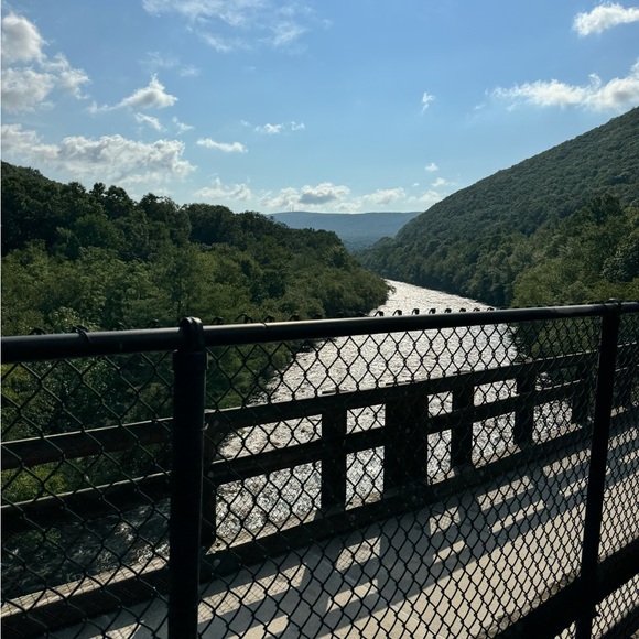 Meet your Posher, Carmen - Picture 1 of 1